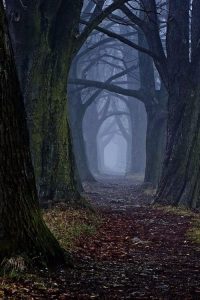 A Dark Path